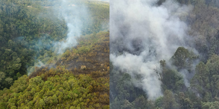 Kenya Forest Service said prolonged dry conditions and unsafe honey-harvesting practices caused the blaze