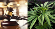 A Photo Collage of A Court Gravel And Cannabis Sativa Plant. PHOTO/ File