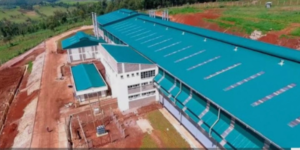 The aerial view of the Chemusian Tea Factory in NakuruPHOTO/Chemusian Tea Factory/Acc