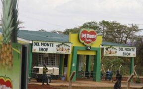 Del Monte shops. PHOTO/Courtesy