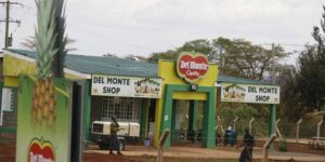 Del Monte shops. PHOTO/Courtesy