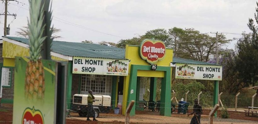 Del Monte shops. PHOTO/Courtesy