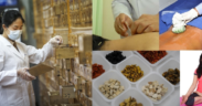A photo of A lady in a labcoat and some of the traditional medicine samples. PHOTO/ WHO
