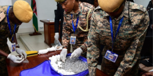 JKIA Immigration officers inspecting the ants that were being smuggled by Chinese national out of Kenya. PHOTO/ ODPP 