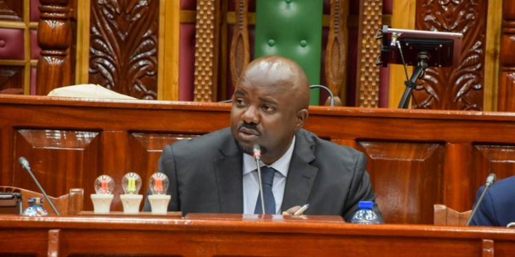 Butere Mp Hon. Tindi Mwale the Public Accounts Committee Chair PHOTO/PAC