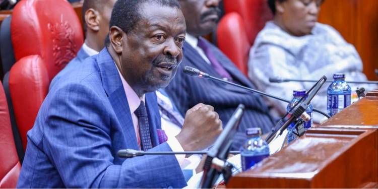 Prime Cabinet Secretary Musalia Mudavadi speaking