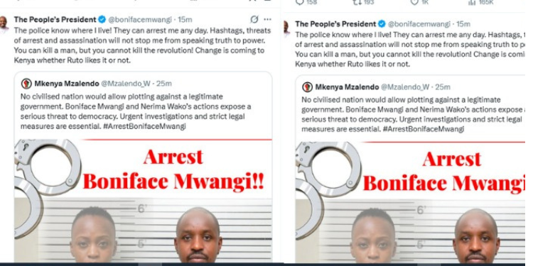 We Planned a Coup, but Raila Failed Us – Boniface Mwangi