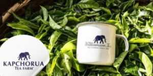 Williamson Tea  Kenya and Kapchorua Tea Kenya PLC have announced a leadership transition at the top of their management