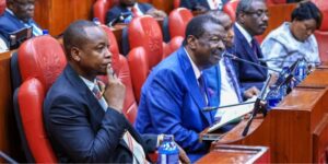 Prime Cabinet Secretary Musalia Mudavadi