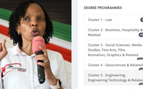 A photo collage of KUCCPS CEO Dr. Agnes Wahome and screenshot from the portal. PHOTO/Courtesy.
