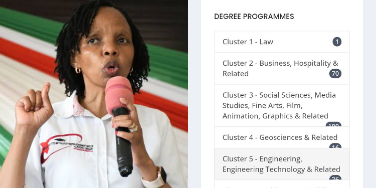 A photo collage of KUCCPS CEO Dr. Agnes Wahome and screenshot from the portal. PHOTO/Courtesy.