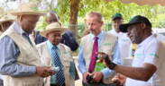 Kakuzi Blueberry Manager Laban Koima (right) explains package features to Investments, Trade and Industry Cabinet Secretary Lee Kinyanjui (second left) during his recent visit to Kakuzi Plc orchards in Murang'a County, as the firm's Chairman Nicholas Ng'ang'a and Managing Director Chris Flowers (right) look on