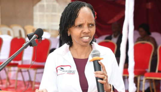 KUCCPS Opens 2026 University and College Placement Applications