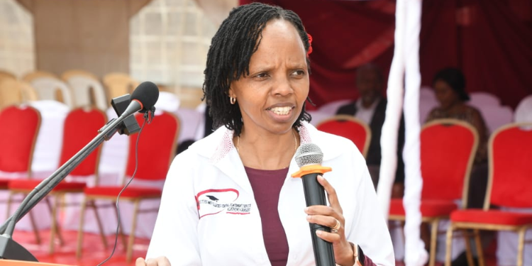 KUCCPS Opens 2026 University and College Placement Applications