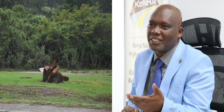 KeNHA has clarified that tree replacement following road construction or maintenance projects may not always occur at the exact locations where trees were removed. PHOTO/KeNHA.