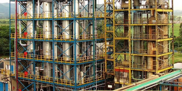 Maseno University, KSTVET and Agro-Chemical Firm Announce Job Vacancies