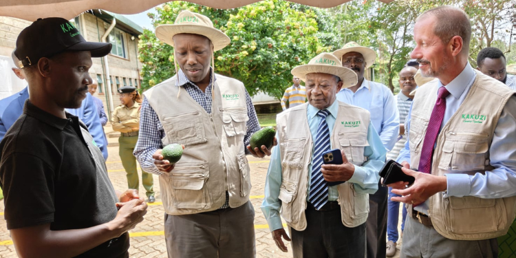 Ministry of Investments, Trade and Industry Cabinet Secretary Lee Kinyanjui (second left) admires avocado fruits at Kakuzi Plc, flanked by the firm's Avocado General Manager Jonathan Kipruto (left), Chairman Nick Ng'ang'a (centre) and Managing Director Chris Flowers (right). This year, Kakuzi plans to double its current export capacity to more than US$100 million per year in the medium term while eyeing an investment of more than US$ 15 million to expand its blueberry-growing venture by increasing its orchards from 10 hectares to 100 hectares.