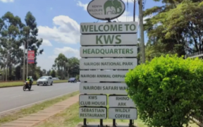 The image shows the entrance to KWS Headquarters PHOTO/Nation