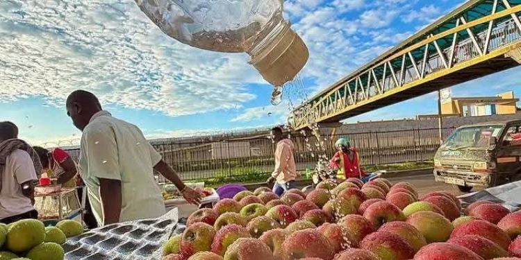 A fruit vendor sprinkling water on apples in her stall PHOTO/File