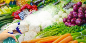 Grocery stores constantly sprinkling water on vegetables and fruits to keep them freshPHOTO/File