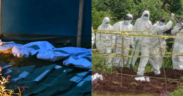 Collage photo of bodies exhumed and presence of DCI officers in the site PHOTO/Vocal Africa