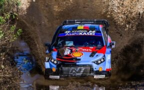 Alongside the sponsors’ identities, the Hyundai World Rally Cars now feature a mix of Hippopotamus, Giraffe, Elephant, and Zebra with the: "Oh Look!" Over There! tagline on the prime drivers and the navigator's door spaces.