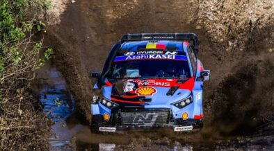 Alongside the sponsors’ identities, the Hyundai World Rally Cars now feature a mix of Hippopotamus, Giraffe, Elephant, and Zebra with the: "Oh Look!" Over There! tagline on the prime drivers and the navigator's door spaces.