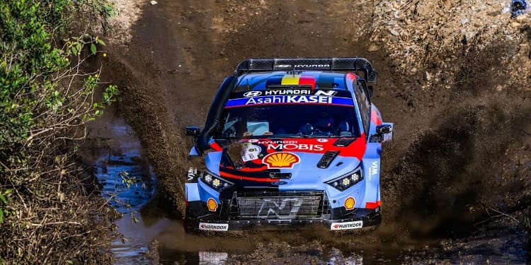 Alongside the sponsors’ identities, the Hyundai World Rally Cars now feature a mix of Hippopotamus, Giraffe, Elephant, and Zebra with the: "Oh Look!" Over There! tagline on the prime drivers and the navigator's door spaces.