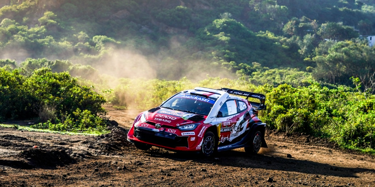 A photo from the World Rally Championship (WRC) event held in Kenya. PHOTO/ FIA World Rally Championship.