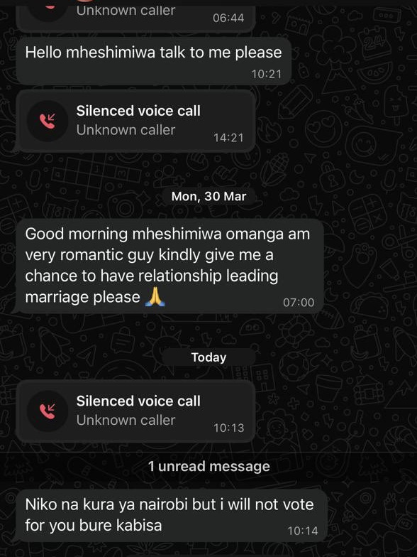 Screenshot from Millicent Omanga showing a Nairobi Resident Simping on her WhatsApp Inbox in favour of 2027 votes. PHOTO/ Millicent Omanga 