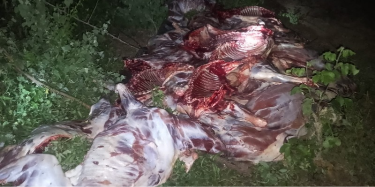 Donkey meat which was found by law officers