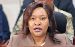 CS Rebecca Miano while appearing before the Public Petitions Committee PHOTO/Parliament