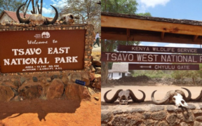 Tsavo National Parks PHOTO/File