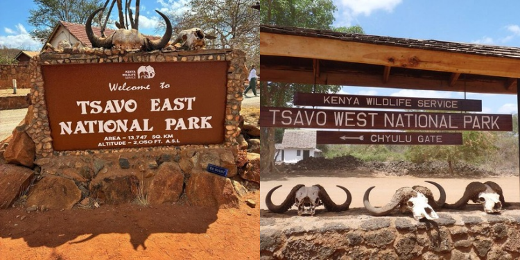 Tsavo National Parks PHOTO/File