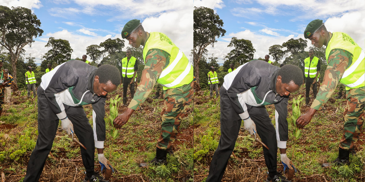 Hillary Kibiwott plants a tree with Kenya Forest Service officers at Kaptagat Forest, Elgeyo Marakwet, during his 24-hour record attempt on April 22, 2026