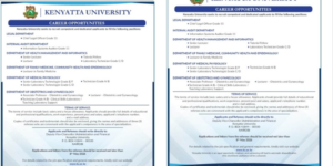 Kenyatta University job vacancies advert PHOTO/MyGov