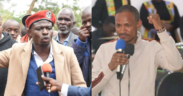 A photo collage of  Calvin Gaucho and Embakasi East MP Babu Owino. PHOTO/ FILE/Babu Owino FB.