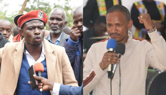 A photo collage of  Calvin Gaucho and Embakasi East MP Babu Owino. PHOTO/ FILE/Babu Owino FB.