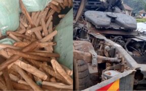 A collage of the trailer and bhang consignment that was inside PHOTO/DCI