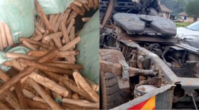 A collage of the trailer and bhang consignment that was inside PHOTO/DCI