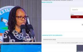 List of KUCCPS TVET Courses Students with KCSE Grade E Can Apply [FULL LIST]