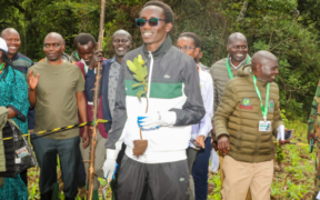 Kenyan Environmentalist Hillary Kibiwott completes 24-hour bid to plant 24,000 trees for a Guinness World Record
