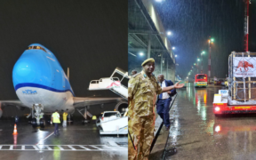 Four Rare Mountain Bongos Arrive at JKIA  from Czech Republic in Historic Return