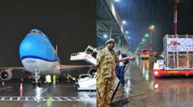 Four Rare Mountain Bongos Arrive at JKIA  from Czech Republic in Historic Return