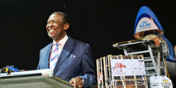 Four Rare Mountain Bongos Arrive at JKIA  from Czech Republic in Historic Return