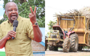 A photo collage of Agriculture CS Mutahi Kagwe and a tractor carrying sugarcane. PHOTO/ Ministry of Agriculture X/ The Standard.