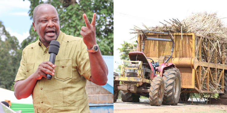 A photo collage of Agriculture CS Mutahi Kagwe and a tractor carrying sugarcane. PHOTO/ Ministry of Agriculture X/ The Standard.