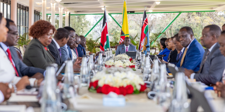 Ruto Announces New State Appointments as CSs Make Key Moves