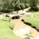 Collapsed Sigowet River Bridge in Narok West after heavy rains washed it away, cutting off the Ngiito–Olereut route and disrupting transport, livelihoods, and school access.