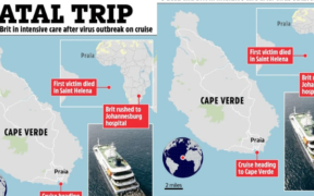 An illustration of how the cruise ship incident occurred PHOTO/The Sun